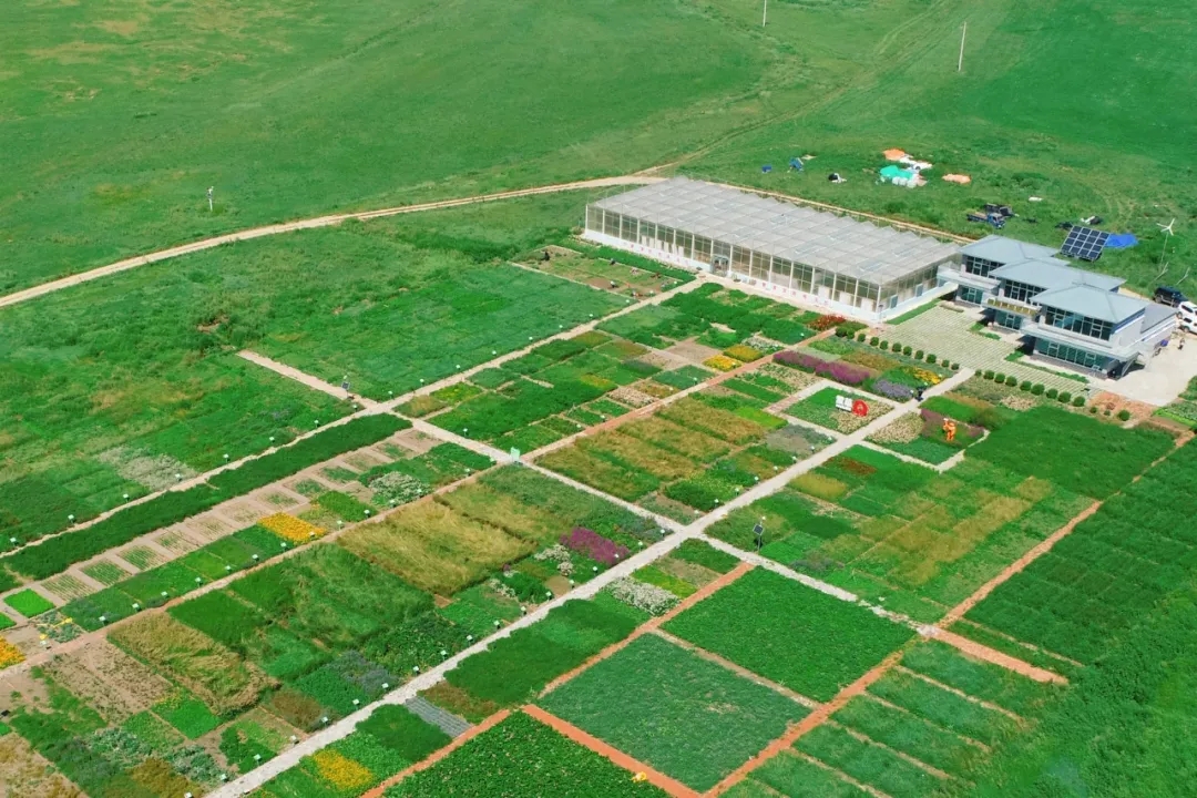 20250908/0297e904f33c6c98d5b50a97297f7094.jpg 20250908/0297e904f33c6c98d5b50a97297f7094.jpg