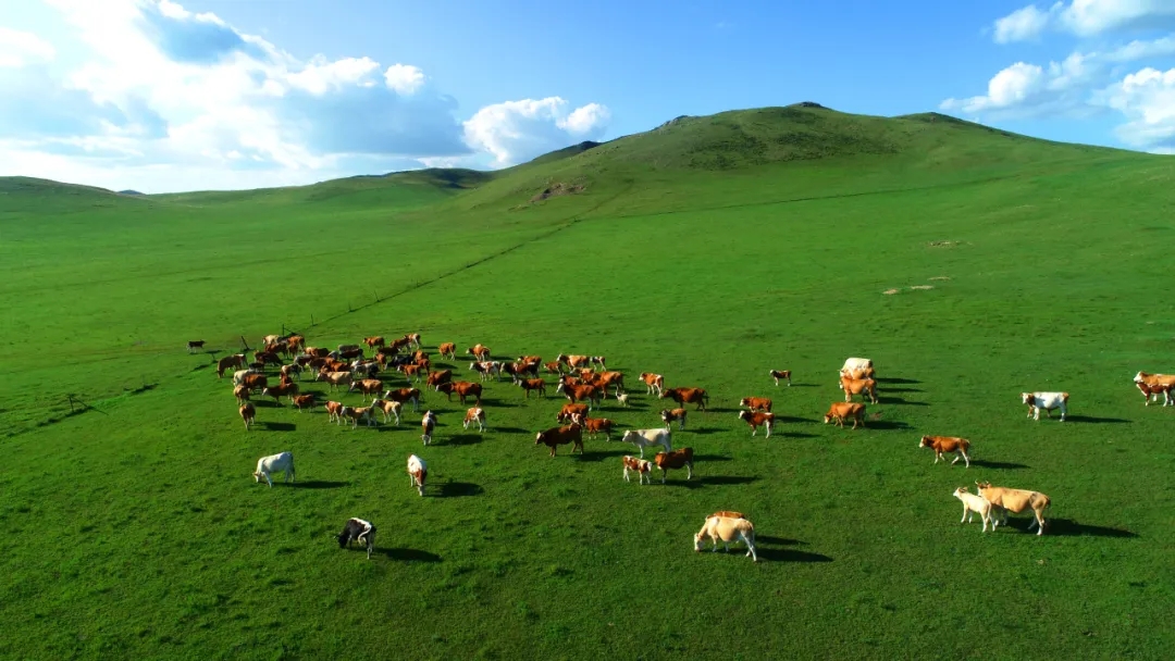 20250908/1b71702c17b0a5dff89c61c07bcfb2de.jpg 20250908/1b71702c17b0a5dff89c61c07bcfb2de.jpg