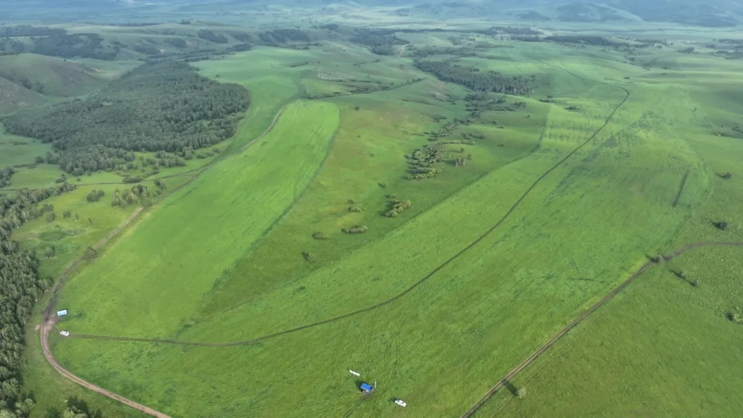 20250908/7706505ab656d17baece816d66c82a93.jpg 20250908/7706505ab656d17baece816d66c82a93.jpg