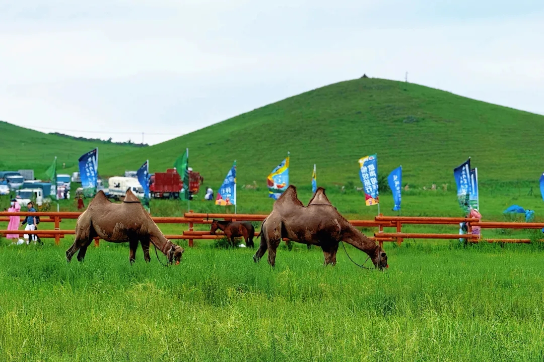 20250908/8602e1c181aa064f0e8f12e469893585.jpg 20250908/8602e1c181aa064f0e8f12e469893585.jpg