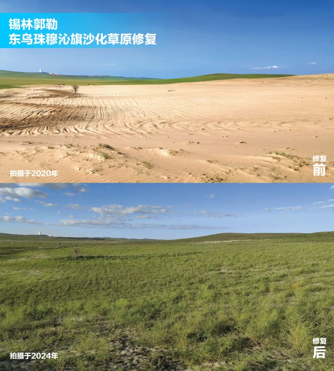 20250908/e28a8e81d292b3f030c2d132d7984884.jpg 20250908/e28a8e81d292b3f030c2d132d7984884.jpg